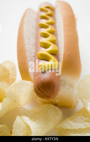 Hot Dog con senape e patatine FoodCollection Foto Stock