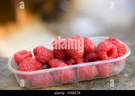 Lamponi nella vaschetta di plastica su un lavandino in pietra FoodCollection Foto Stock