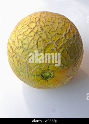 Il muschio melone, Cuvumis melo Foto Stock