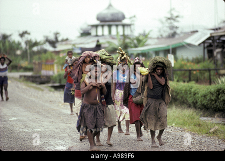 Dani donne portando la loro produzione agricola nella città di Wamena in vendita Highlands Papua Occidentale Foto Stock