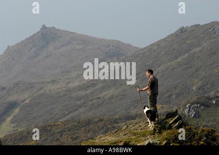 Pastore David Kennard passeggiate su terreno roccioso con sheepdog per arrotondare le pecore, mortehoe, devon Foto Stock