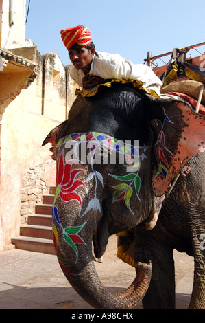 Gestore di elefante a Jaipur, India Foto Stock