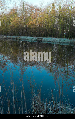 Riflessi nel lago a parkhall campagna parco, Stoke-on-Trent Foto Stock