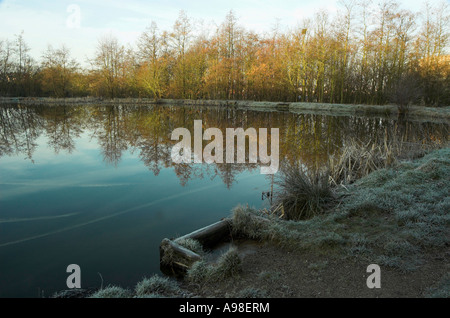 Riflessioni in un lago a parkhall campagna parco, Stoke-on-Trent Foto Stock