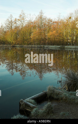 Riflessi nel lago a Parkhall Campagna Parco, Stoke-on-Trent Foto Stock