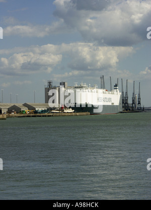 Hoegh Autoliners, contenitore di nave ormeggiata a Southampton, Eastern Docks, orcio Terminale, Southampton, Hampshire, Inghilterra, Regno Unito, Foto Stock