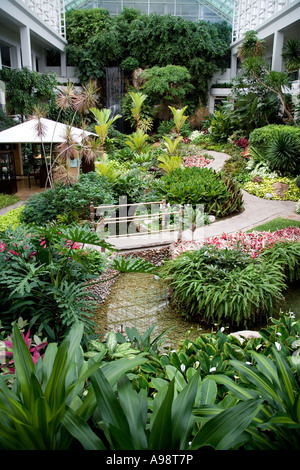 Thai ornamentali botanico Giardino formale in base al Dusit Resort hotel a Pattaya, nel sud della Thailandia Foto Stock