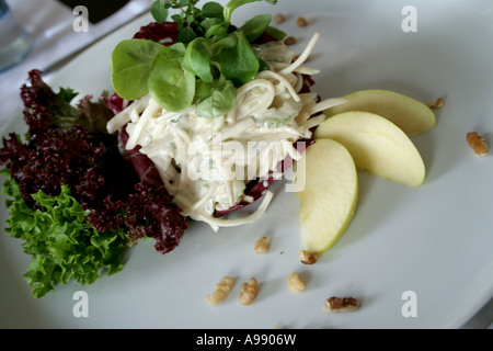 Un'insalata Waldorf fresca e vivace servita con fette di mele, verdure e noci su un piatto bianco, che offre un pasto sano e delizioso. Foto Stock