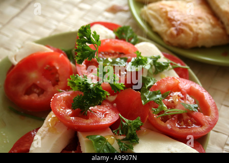 Insalata caprese fresca con pomodori a fette, mozzarella, basilico e prezzemolo, condita con olio d'oliva, servita su un piatto verde. Foto Stock