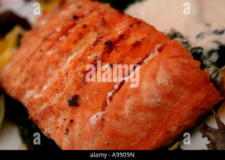 Primo piano di un filetto di salmone perfettamente grigliato condito con pepe, servito con un contorno di verdure saltate e salsa cremosa. Foto Stock