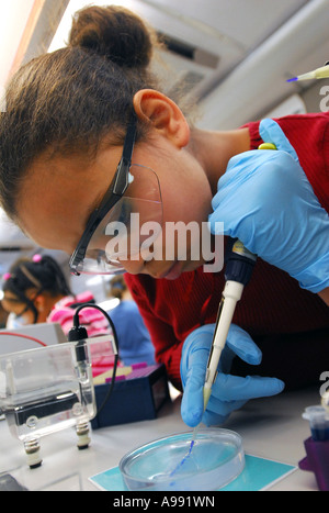 Studente di DNA estratti per la sequenziazione durante una scuola di alta classe forense nel Connecticut, Stati Uniti d'America 2008 Foto Stock