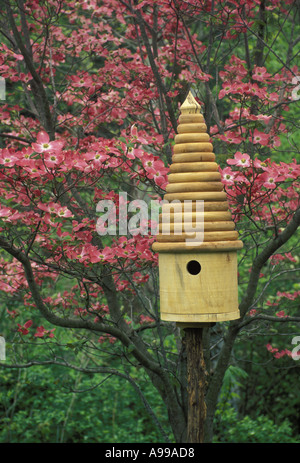 Fantasiosa tornio-girare a mano birdbox hackberry accanto a un fiore rosa Sanguinello albero in primavera, Missouri USA Foto Stock