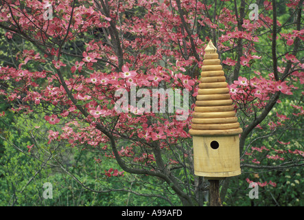Fantasiosa tornio girato hackberry birdbox dalla fioritura rosa Sanguinello tree, Missouri USA Foto Stock
