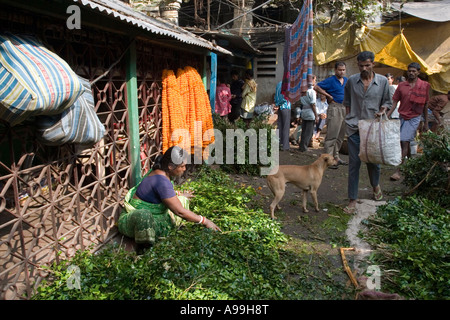 India del nord Calcutta Caption locale Mercato dei Fiori città di Calcutta Foto Stock