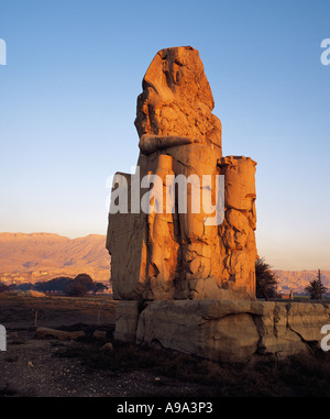 La mattina presto luce su uno dei due Colossi di Memnon vicino alla Valle dei Re Luxor Egitto Foto Stock