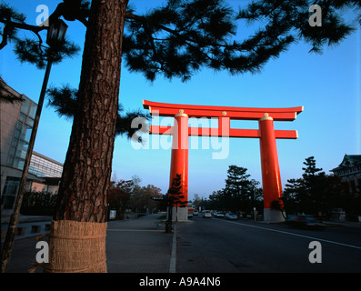 Il primo gateway esterno torii al Santuario Heian Giappone Kyoto incorniciata da una tipica giapponese pino mattina presto Foto Stock