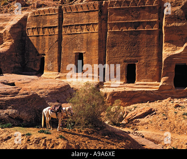 Un cavallo sellati attende di fronte a una fila di roccia scolpiti tombe all'ingresso della leggendaria città di Petra in Giordania Foto Stock