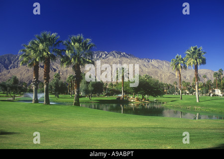 MESQUITE GOLF COUNTRY CLUB PALM SPRINGS RIVERSIDE COUNTY CALIFORNIA USA Foto Stock