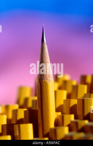 Sharp matita piombo nel gruppo delle matite di colore giallo Foto Stock