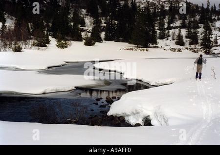 Il disgelo in Norvegia sci dall'acqua Foto Stock