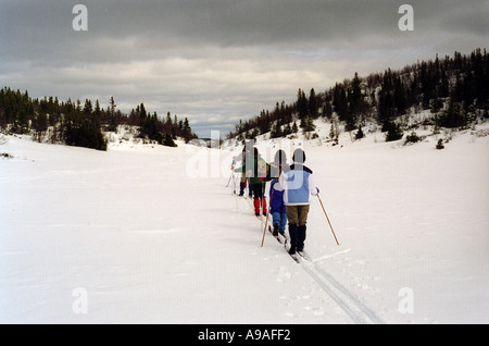 Sci di fondo in Norvegia Foto Stock