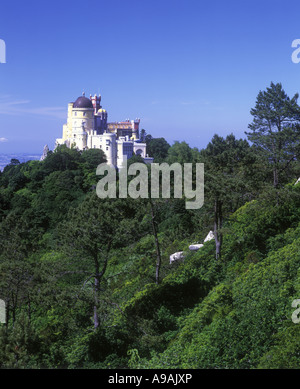 PALACIO NACIONAL DA PENA SINTRA PORTOGALLO Foto Stock