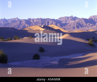 SCENIC MESQUITE FLAT dune di sabbia del Parco Nazionale della Valle della Morte California USA Foto Stock