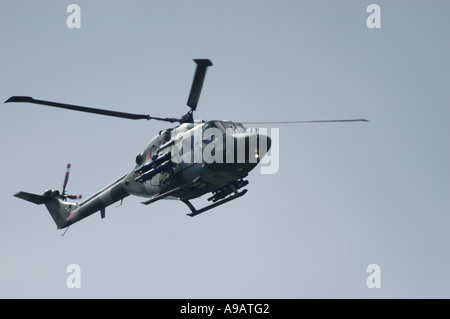 Army Air Corps Lynx - Blue Eagles Team Display Foto Stock