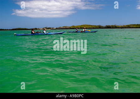 America del Sud America Latina Ecuador Isole Galapagos Itabaca Canal che corre tra Santa Cruz e Baltra Island Gruppo di mare Foto Stock