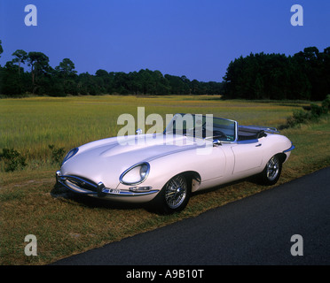 1966 E-TYPE JAGUAR BIANCO CABRIOLET (©JJAGUAR CARS LTD 1961) AUTO PARCHEGGIATA SUL PRATO DELLA STRADA ASFALTATA Foto Stock