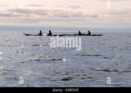 America del Sud America Latina Ecuador Isole Galapagos Santa Cruz Island Silhouette di sea kayakers paddling Foto Stock