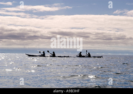 America del Sud America Latina Ecuador Isole Galapagos Santa Cruz Island Silhouette di sea kayakers paddling Foto Stock