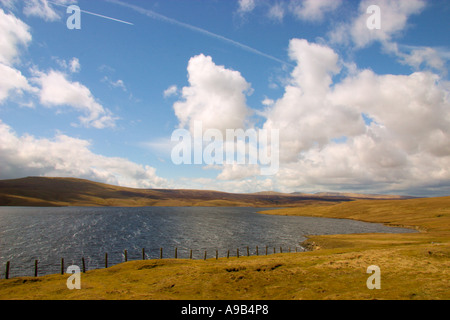 Vacca Serbatoio verde, Superiore Teesdale, REGNO UNITO Foto Stock