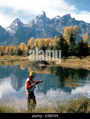 Il Parco Nazionale del Grand Teton in Wyoming che mostra la pesca con la mosca a Schwabaker beaver stagni durante l'autunno Foto Stock