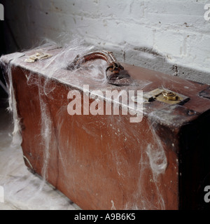 Vecchia valigia in pelle con ragnatele in cantina Foto Stock