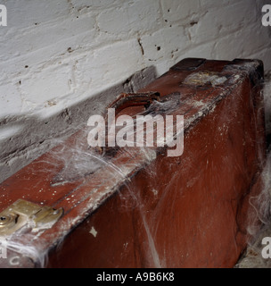 Custodia in pelle con ragnatele in cantina Foto Stock