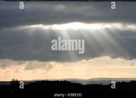 Nimbostratus nuvole. La luce del sole attraverso la rottura di nuvole temporalesche. Cielo d'inverno. Vista su tutta la nuova foresta. Hampshire. Regno Unito. Foto Stock