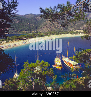Vista incorniciata da pini del tratto curvo di sabbia bianca spiedo e lunga spiaggia e gulets al di ancoraggio a Olu Deniz in Turchia Foto Stock