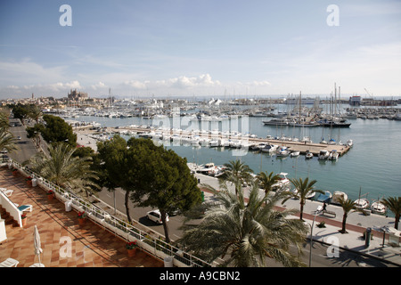 Vista verso La Seu Palma Cattedrale lungo il Paseo Maritimo porto pieno di barche da diporto Foto Stock