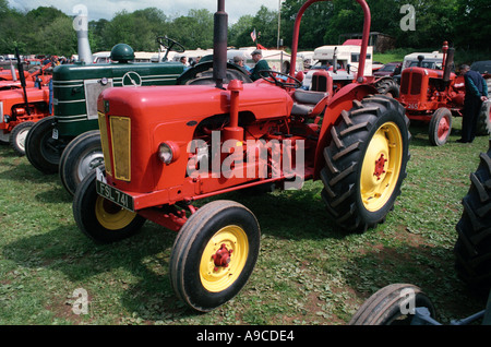 1958 David Brown 950 45hp Foto Stock