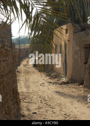 Gli antichi edifici in El Bawiti costruito in gran parte da mattoni di fango Foto Stock