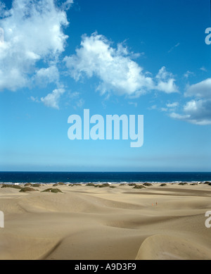 Maspalomas dune di sabbia, Gran Canaria Isole Canarie Spagna Foto Stock