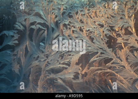 I cristalli di ghiaccio sulla finestra Riassunto 2 Foto Stock