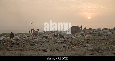 La vita di comunità su una discarica a Kathmandu in Nepal Foto Stock