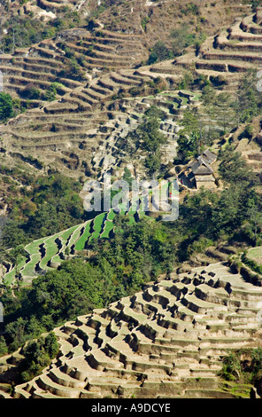 Campi terrazzati come visto da Nagarkot, valle di Kathmandu, Nepal Foto Stock