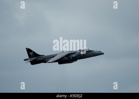 RAF Harrier GR.7 Foto Stock