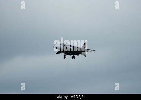 RAF Harrier GR.7 Foto Stock