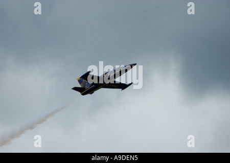 Aria Breitling team display l-39 Albatross Foto Stock