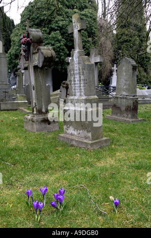 Alcune delle tombe del vecchio cimitero a Hasselt Foto Stock