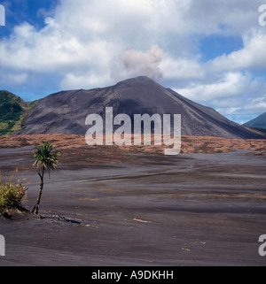 Pianure di cenere e pandanus lone Palm tree ai piedi del monte vulcano Yasur sull isola di Tanna in Vanuatu isola gruppo Sud Pacifico Foto Stock